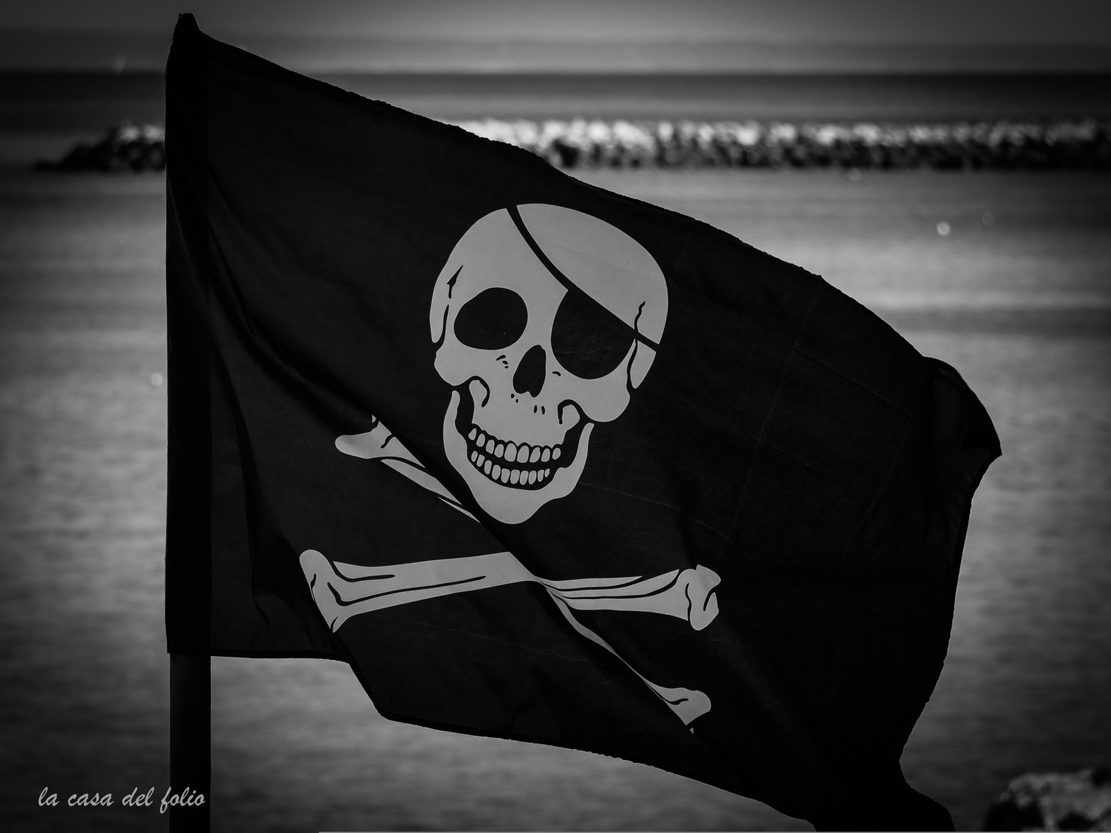 6b8ed606-fdab-4c0e-a632-175bf30915eb.jpg