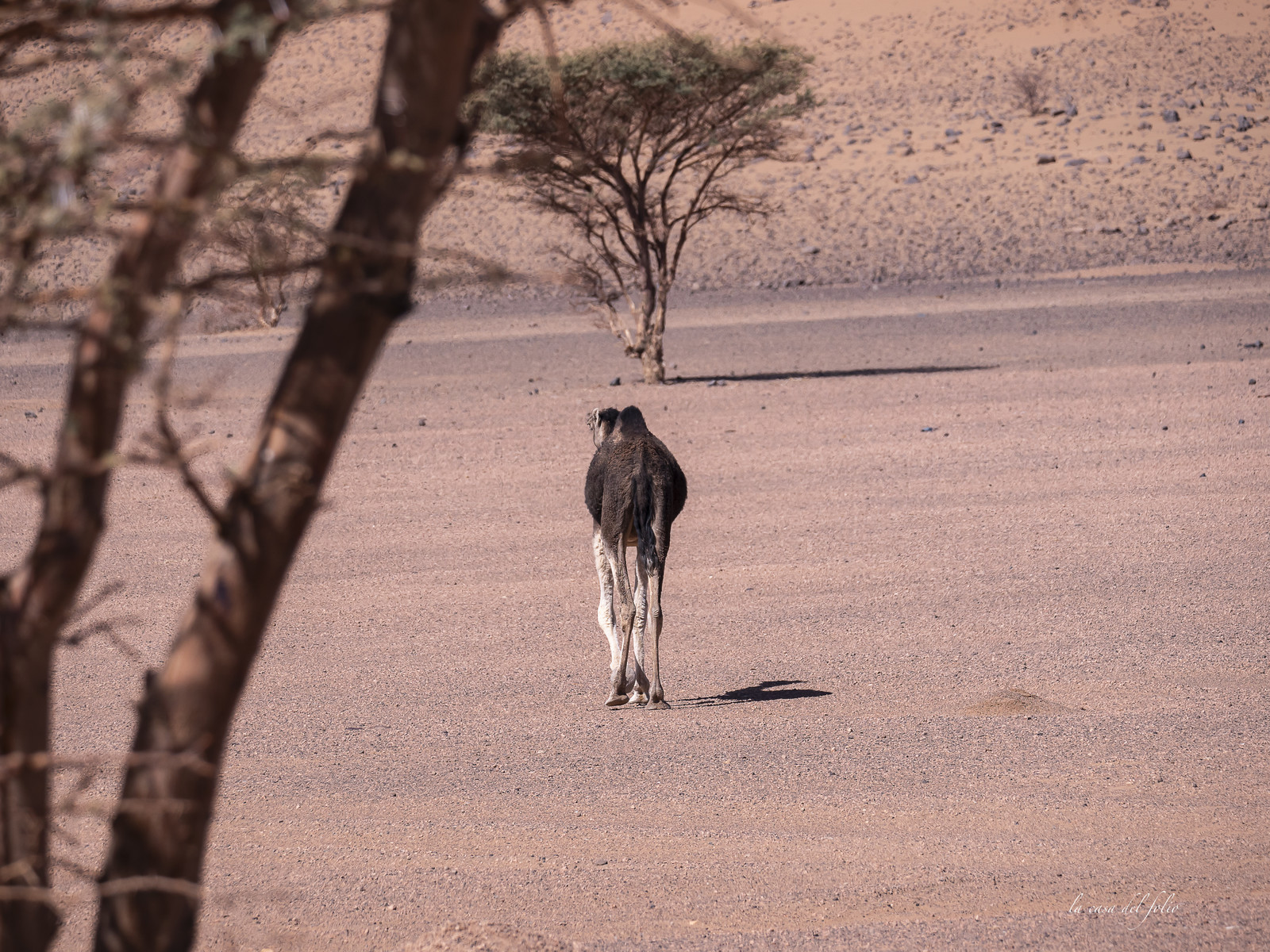 Maroc