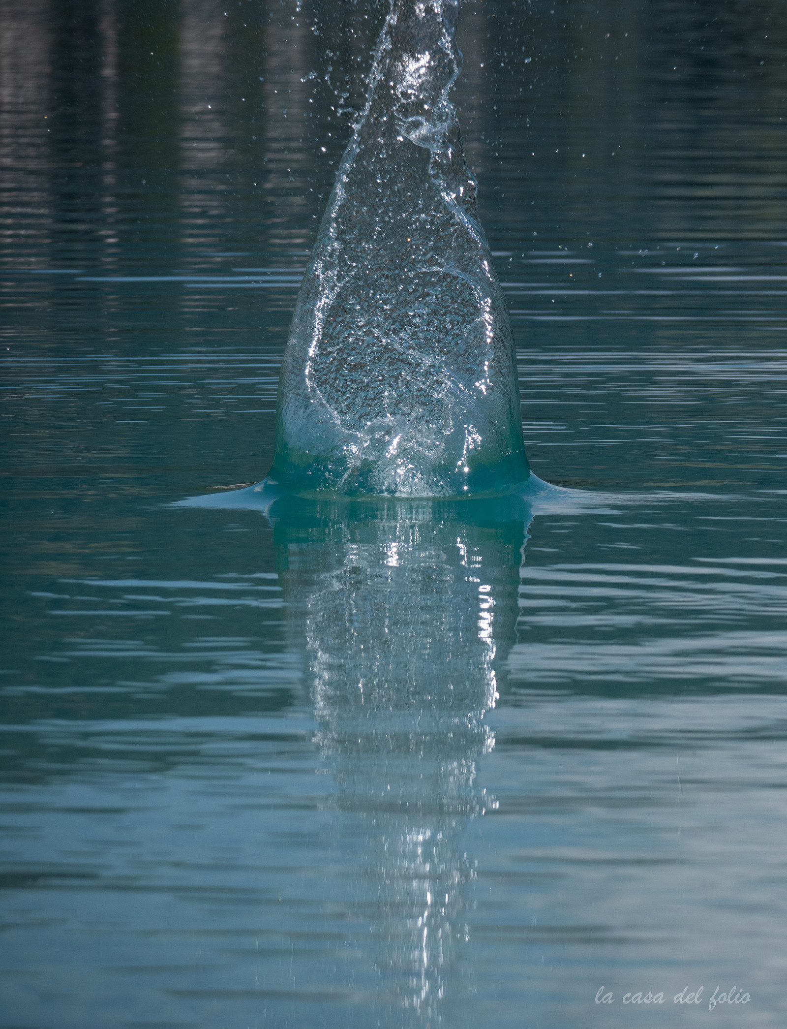 p1482631-2.jpg