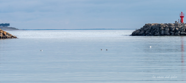 Île de Noirmoutier