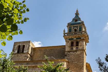 p1156835.jpg