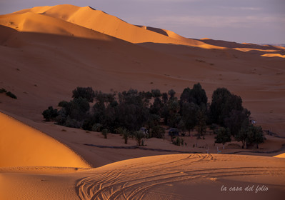Afrique maroc