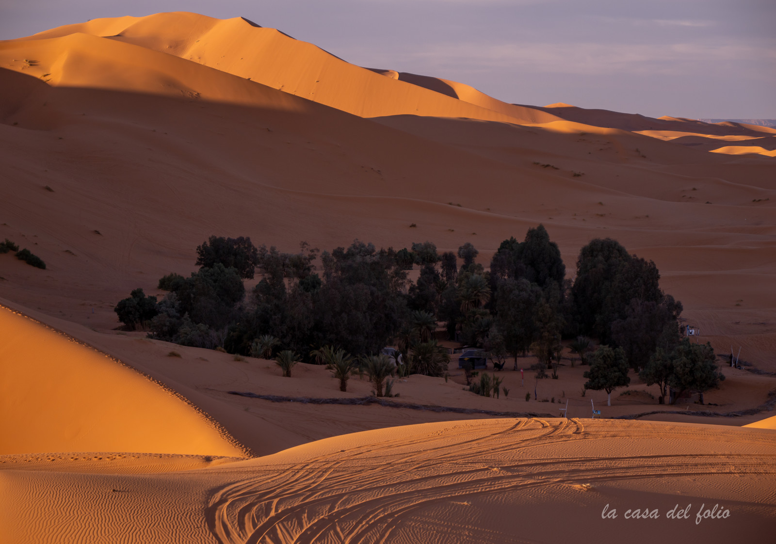 Afrique maroc