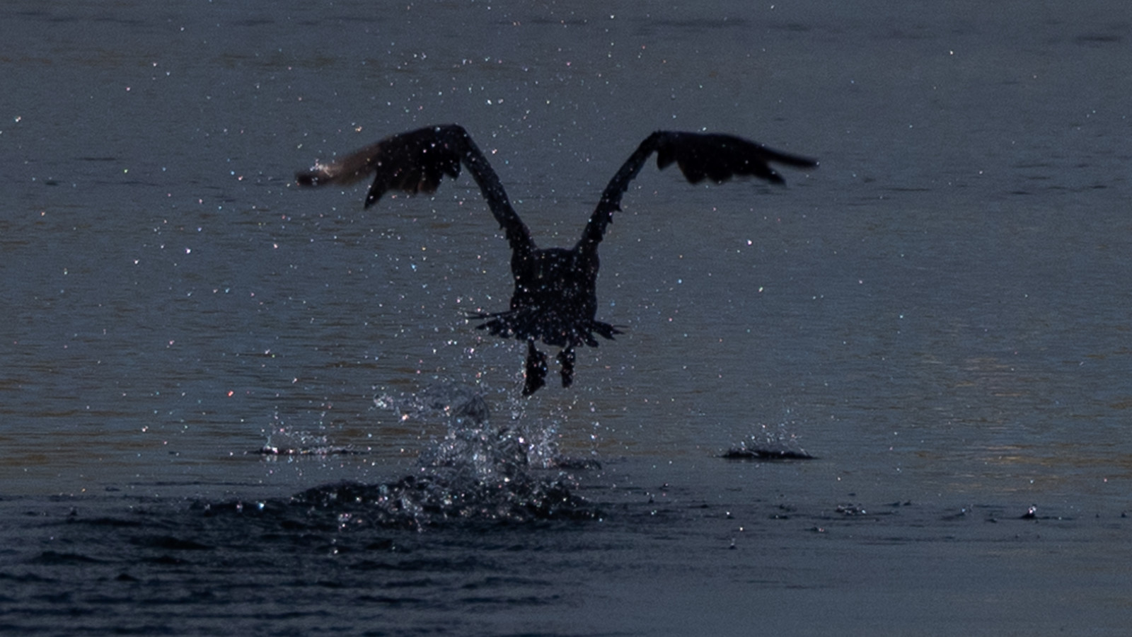 p1357553.jpg