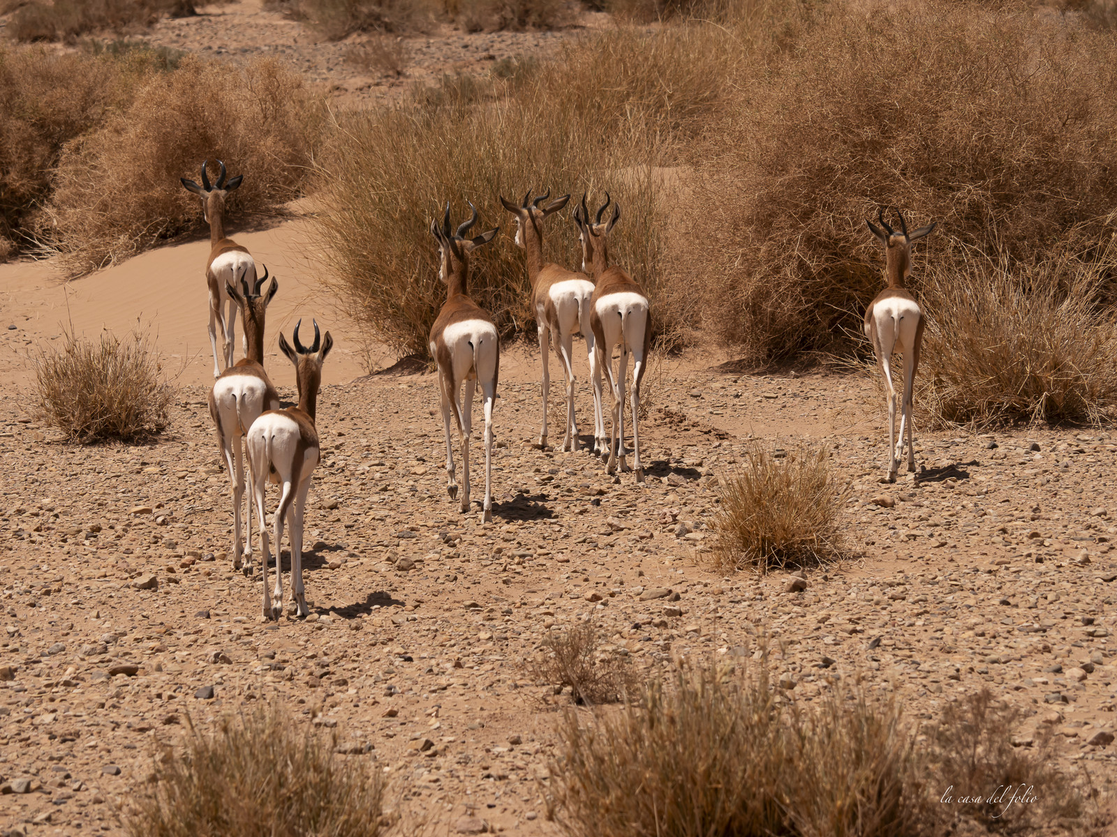 Maroc