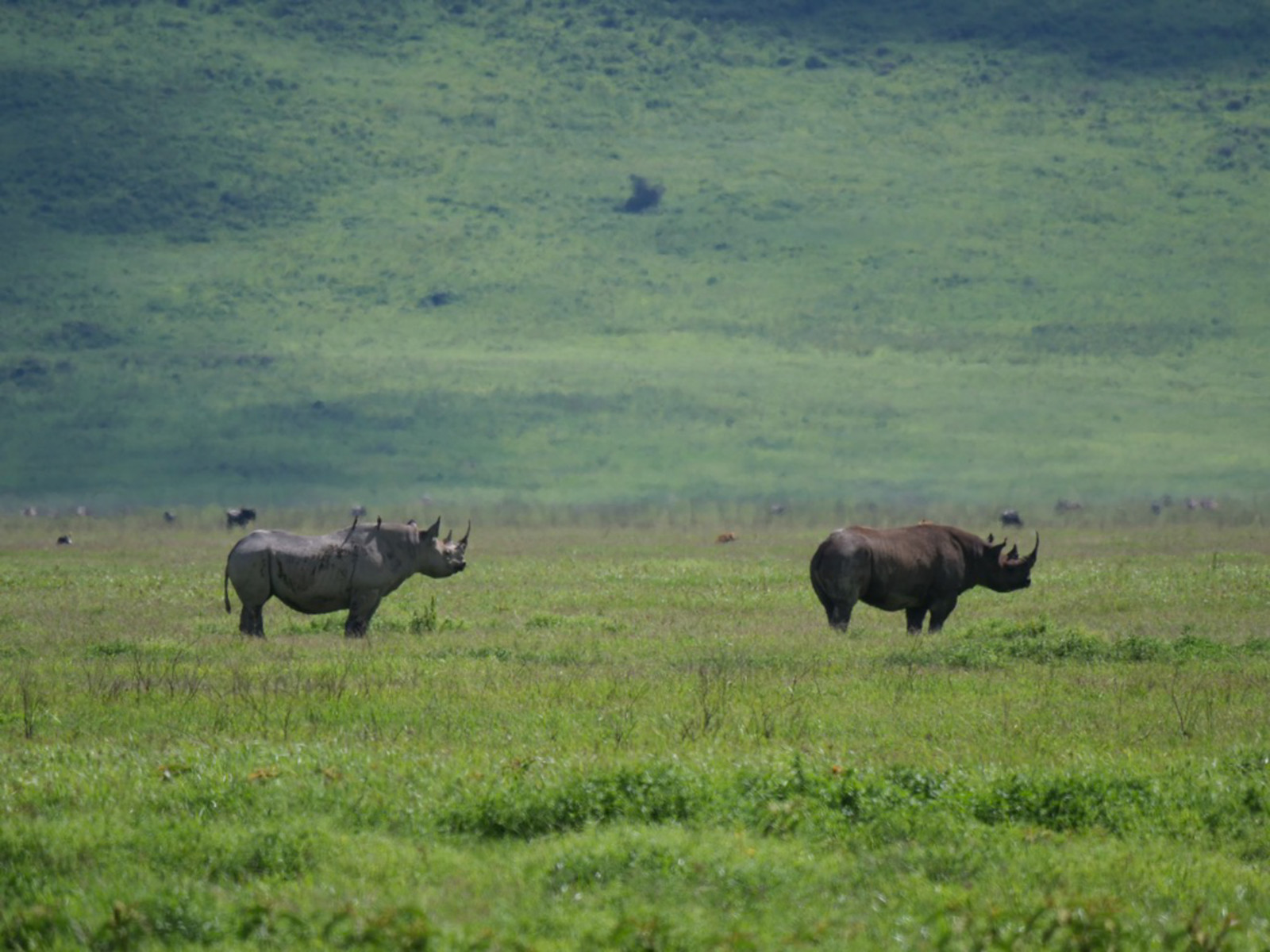 e226205f-746a-4d68-876c-200f188caa27_1_105_c.jpg