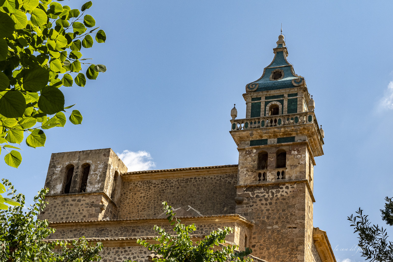 p1156835.jpg