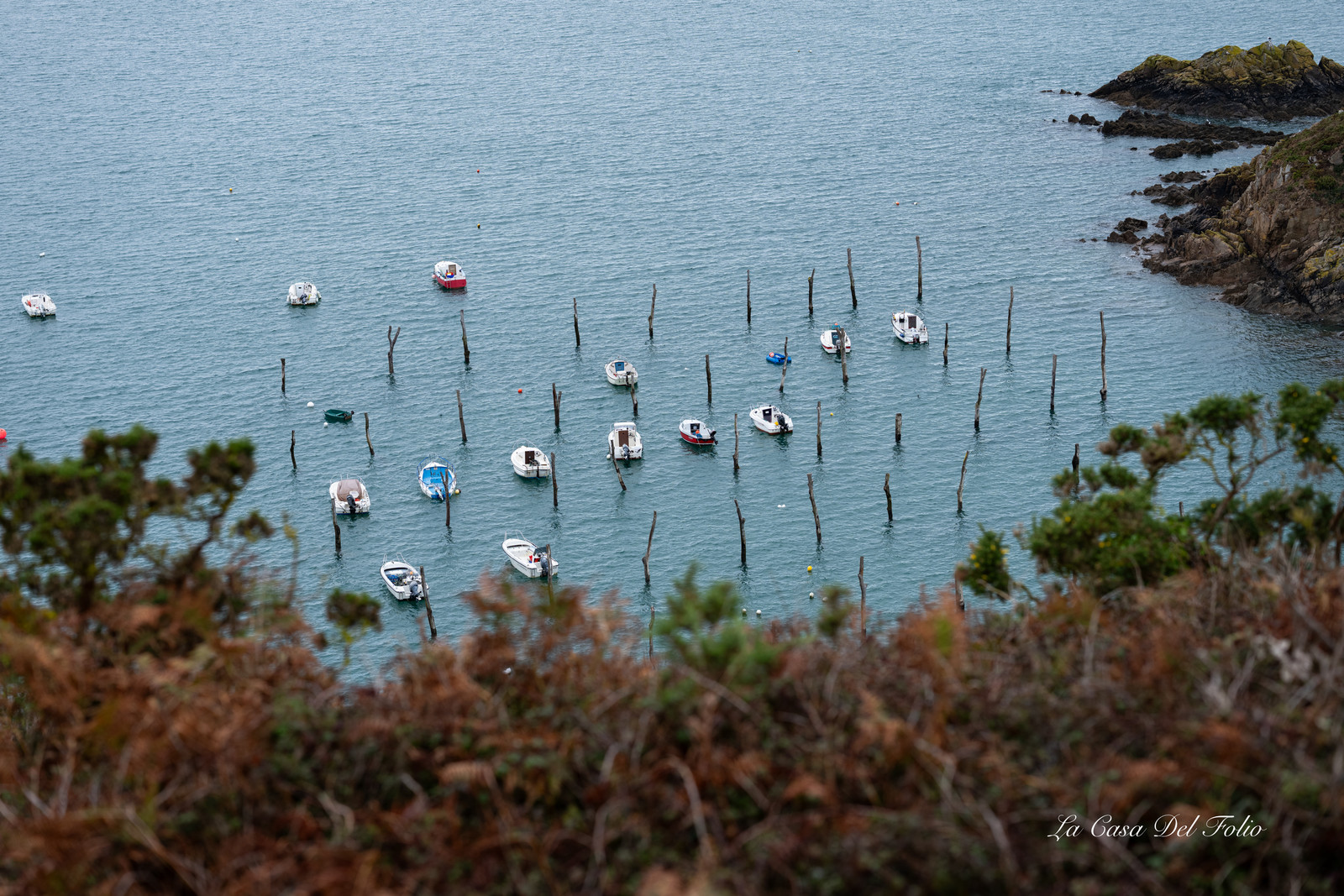 dsc03479.jpg