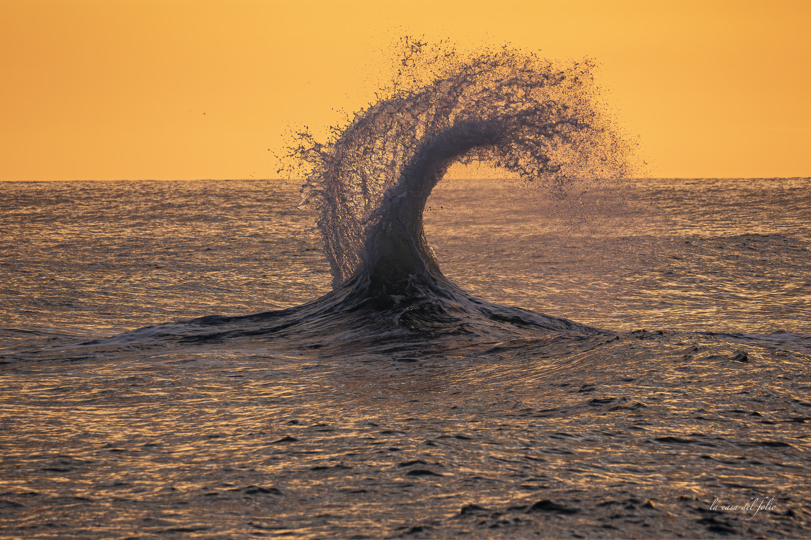 waves in the golden hour