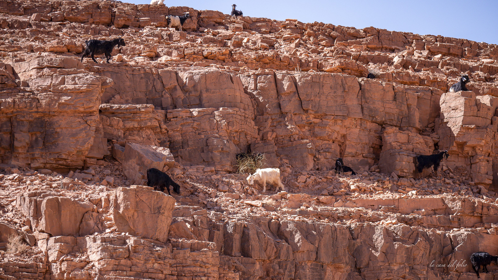 Maroc