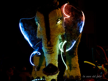 La Fête des Jonquilles