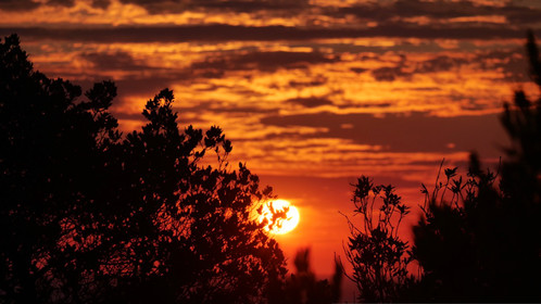 2cf7826f-5d8d-4f69-8c29-57863d91d98c_1_105_c.jpg