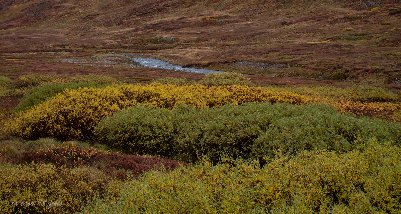 Islande